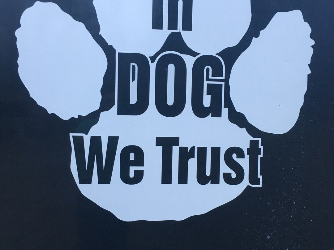 Nenana Sled Dog Adventures-Nenana必去景点