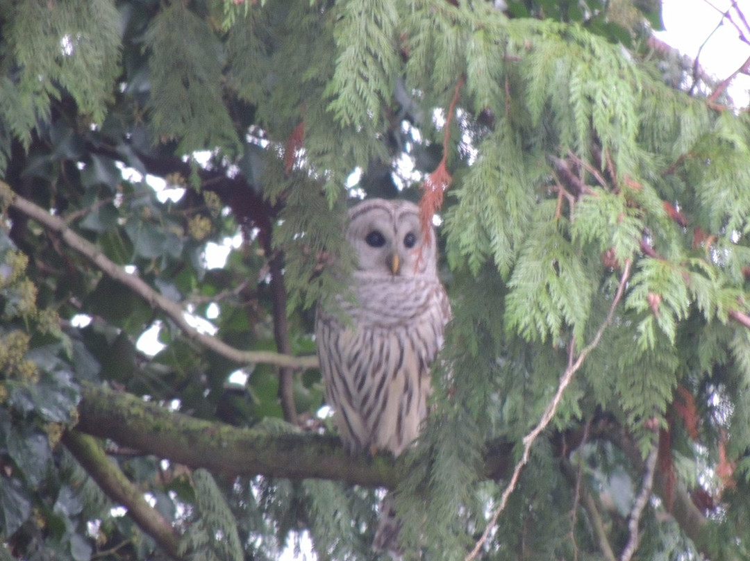 Birch Bay State Park-Birch Bay必去景点