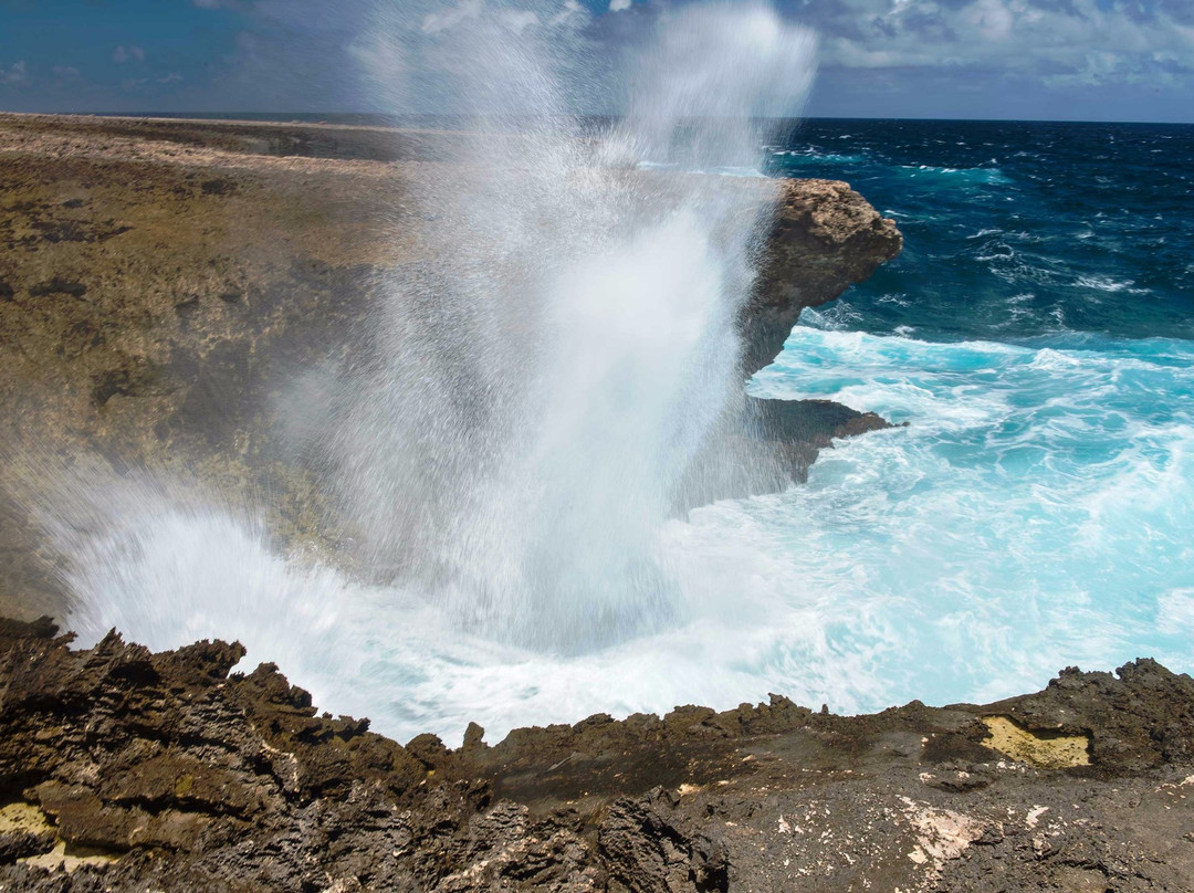 Suplado-Washington-Slagbaai National Park必去景点