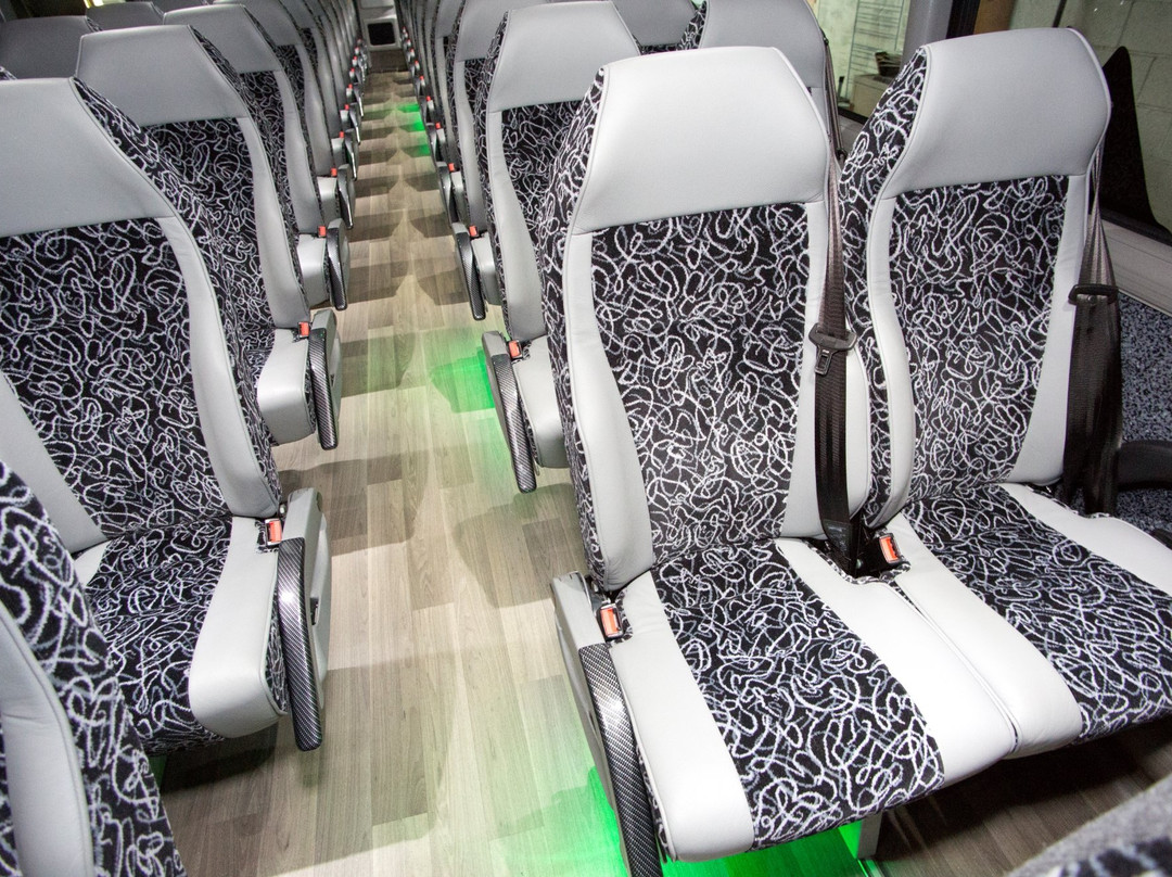 Wolf's Bus Lines景点图片