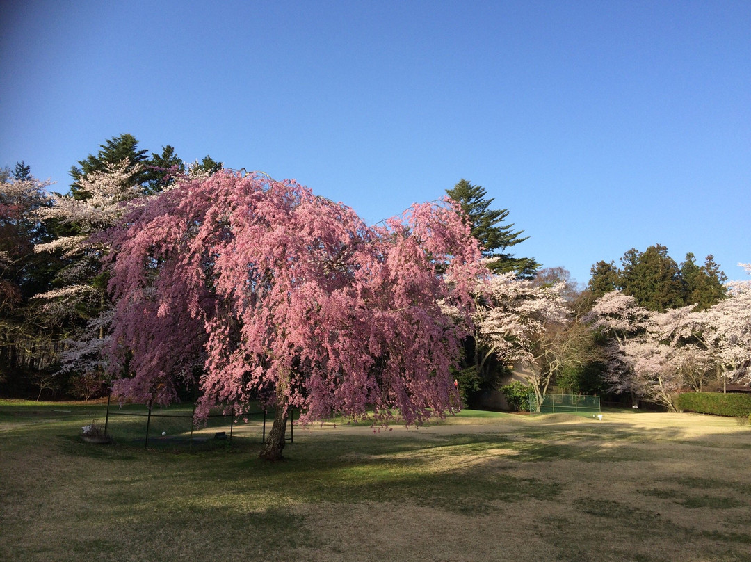 Fuji View Hotel Japanese Garden景点图片