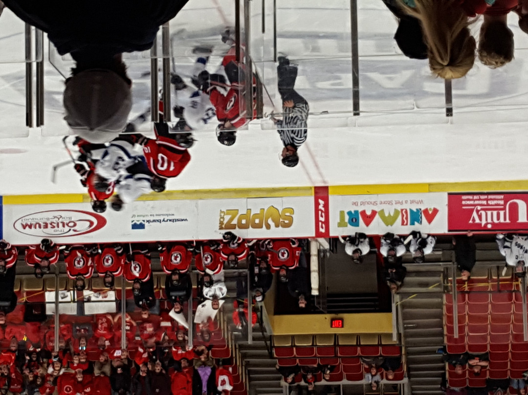 Alliant Energy Center-麦迪逊必去景点