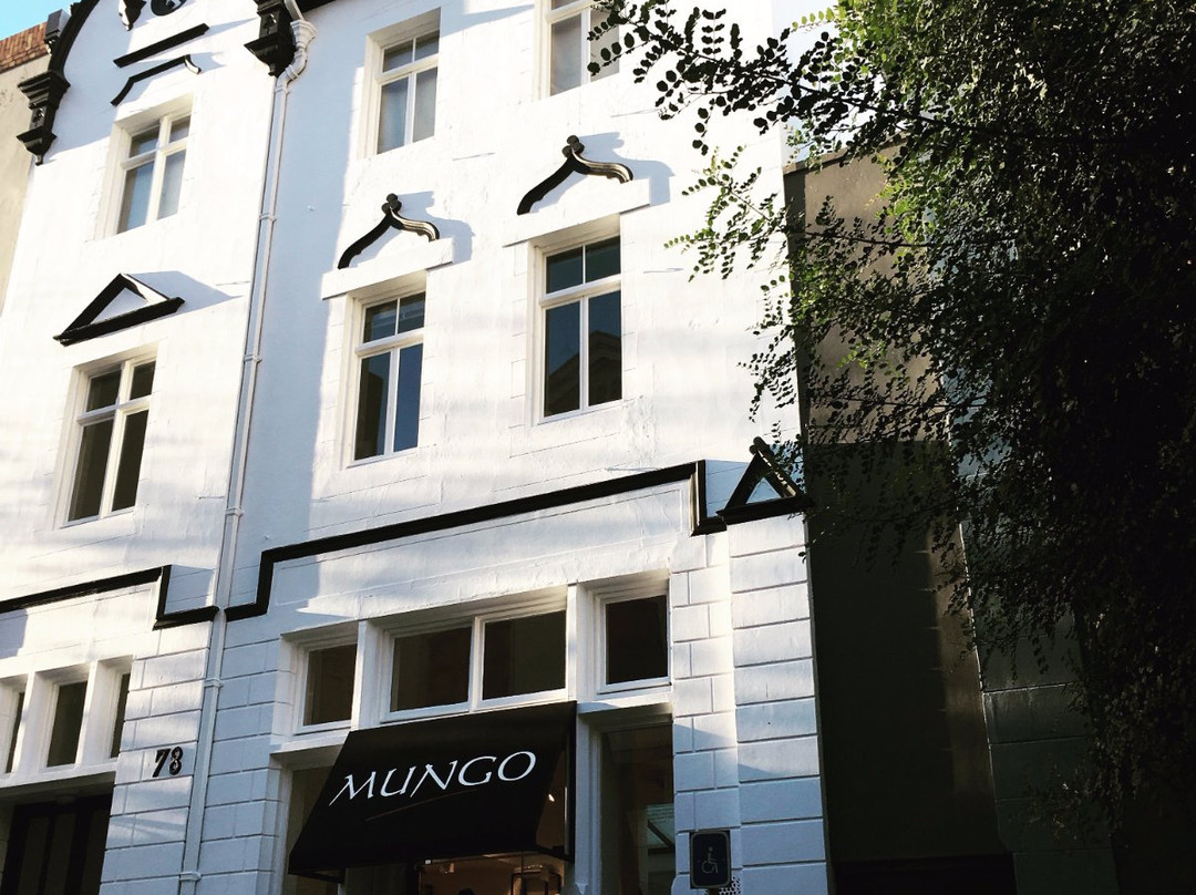 Mungo-开普敦必去景点