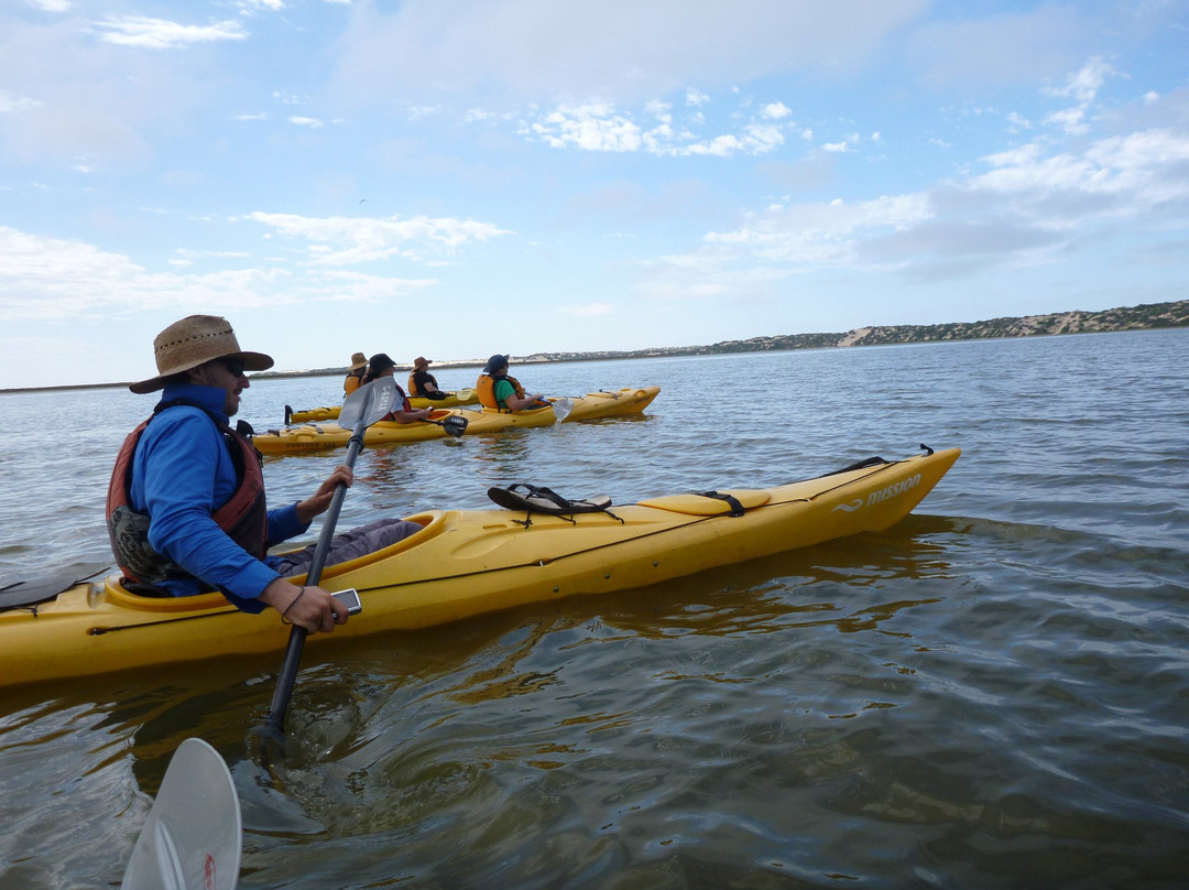 Canoe The Coorong - Day Tours