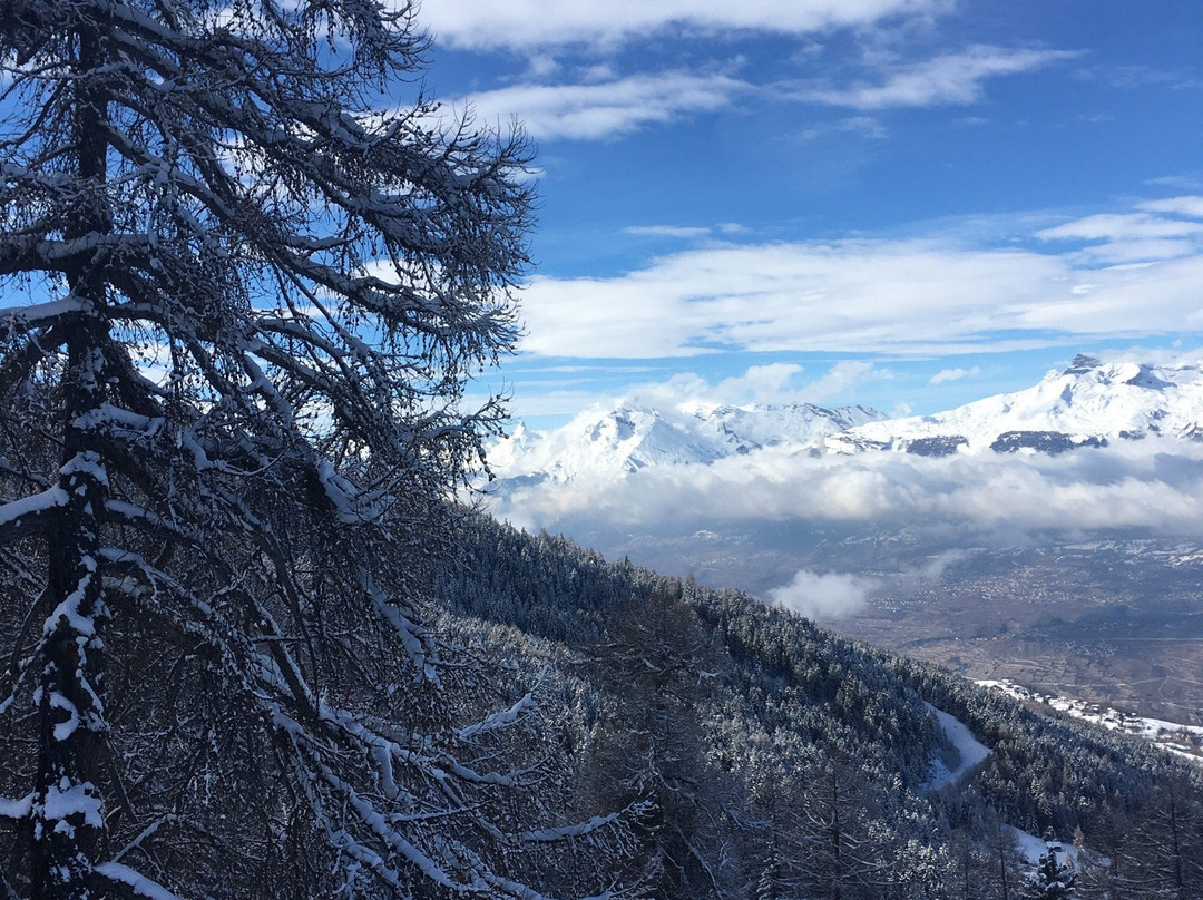 Domaine Skiable Nax / Mt-Noble-Nax必去景点