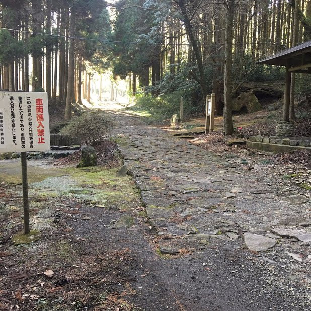 Sankinkotai no Hinoki-阿苏市必去景点