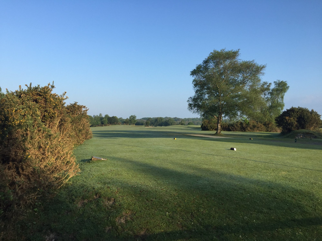 New Forest Golf Club景点图片