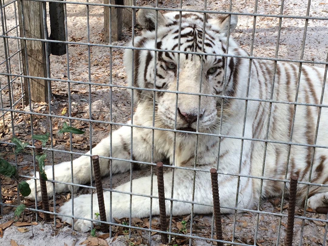 Endangered Animal Rescue Sanctuary-Citra必去景点