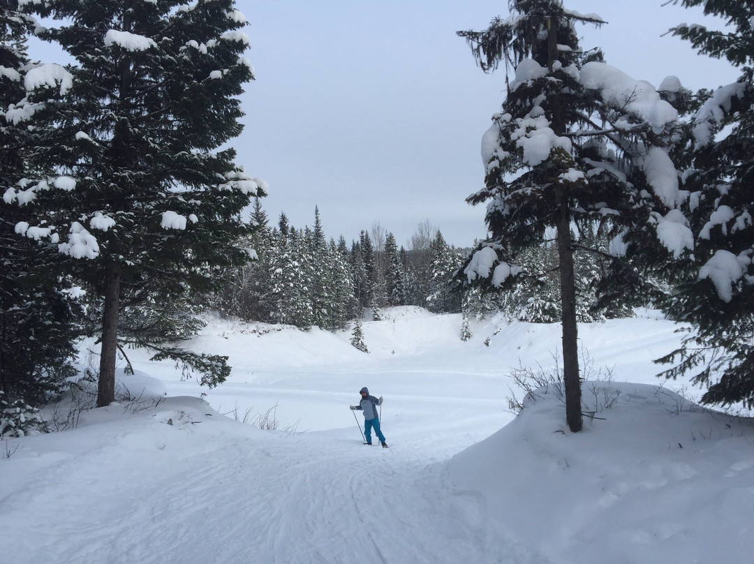 Caledonia Nordic Ski Club景点图片