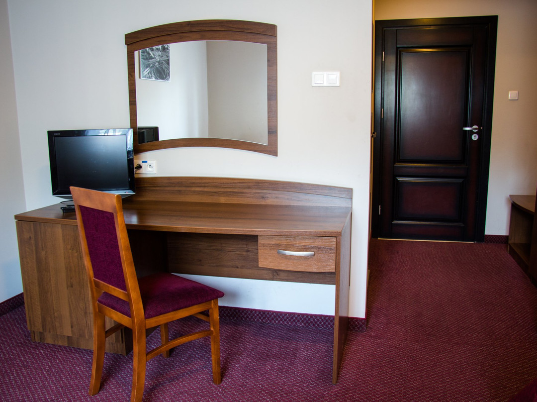 Hotel Pod Borem主图