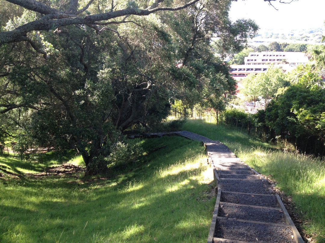 Mt St John Domain-埃普索姆必去景点