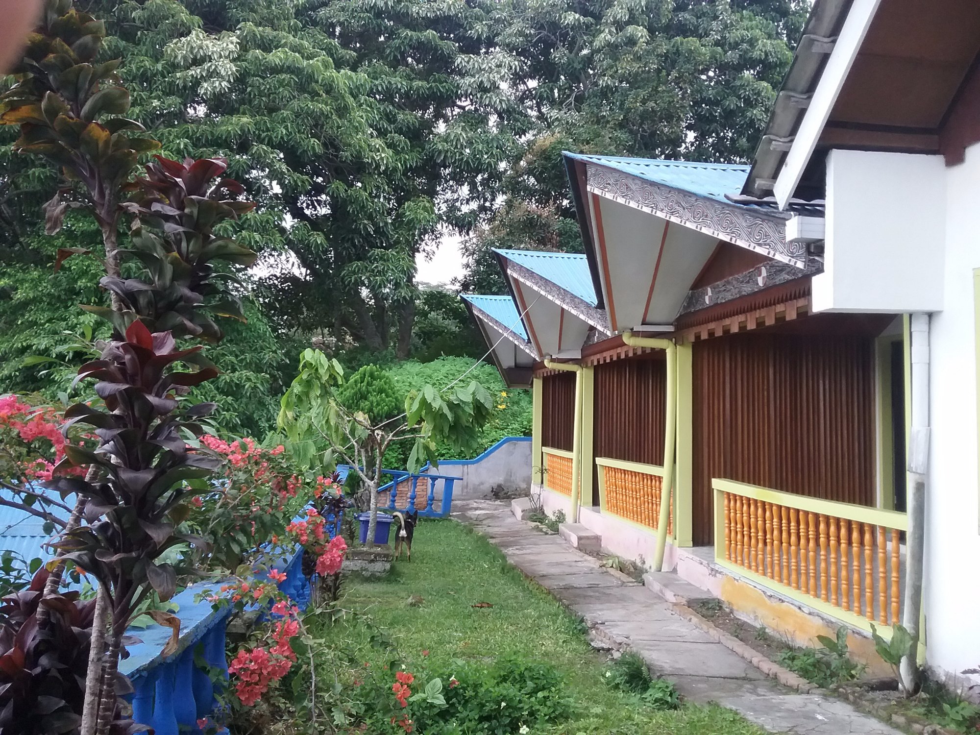 Sony Guesthouse-浴室
