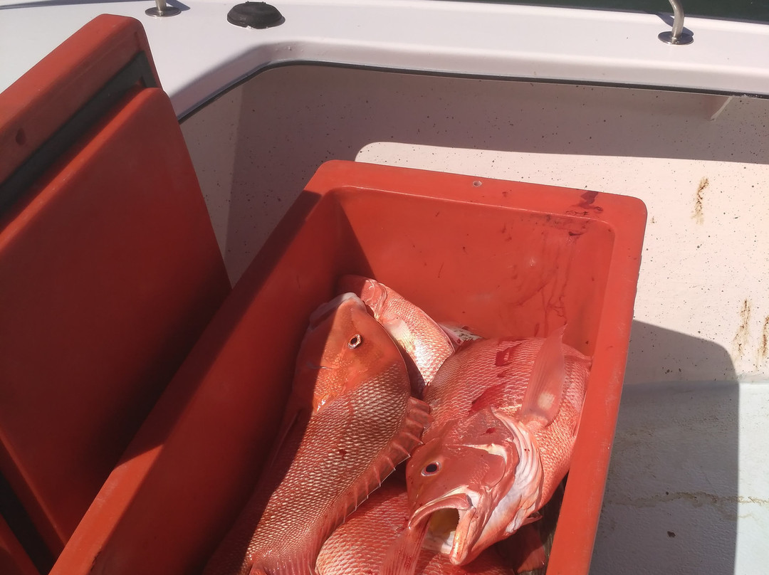 Awesome Fishing-Magnetic Island必去景点