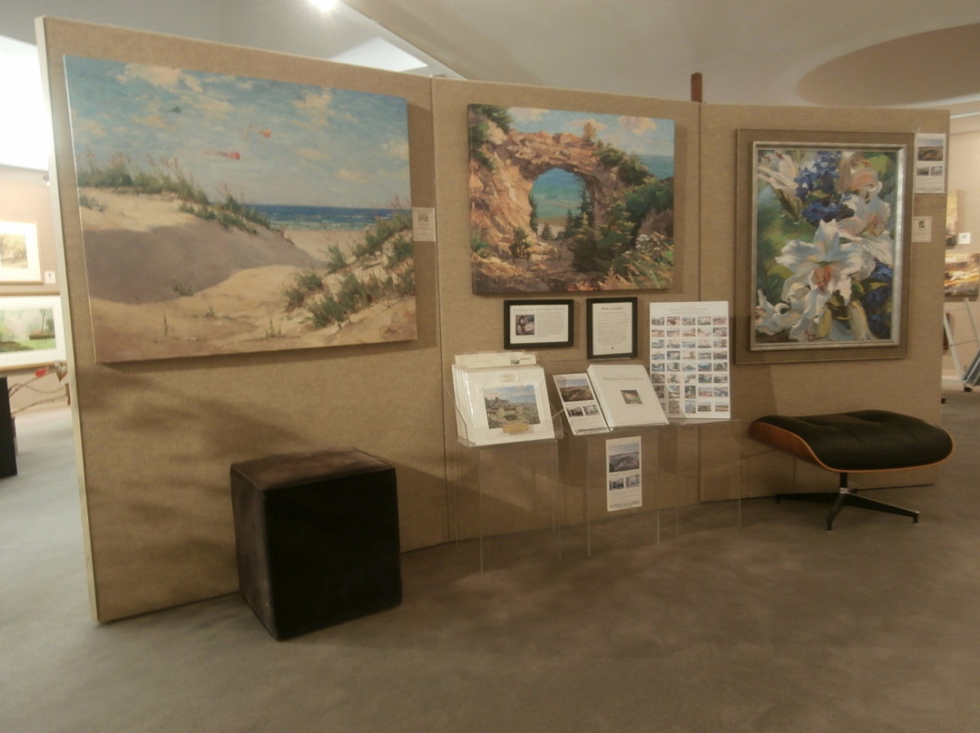 Saper Galleries and Custom Framing景点图片