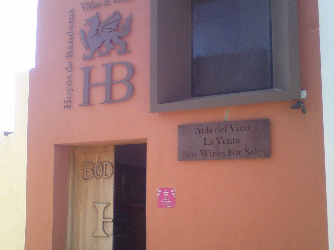 Bodega Hoyos de Bandama景点图片
