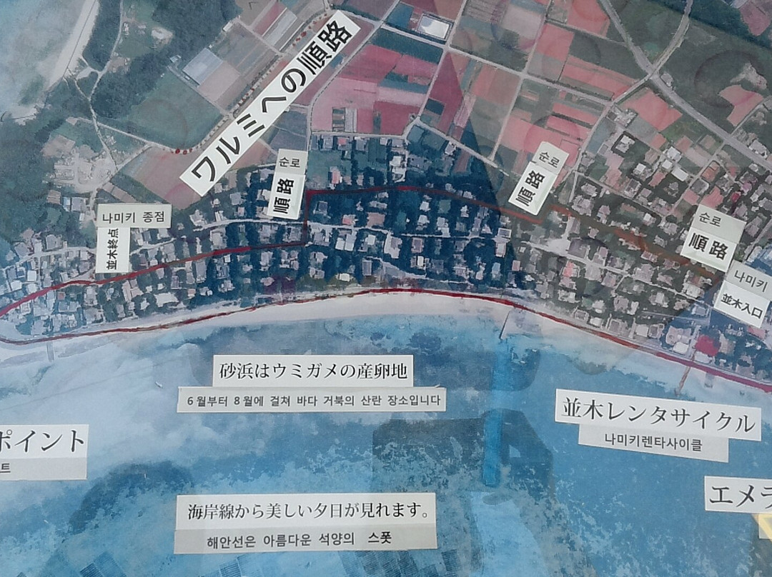 Namiki Rent-a-cycle-本部町必去景点