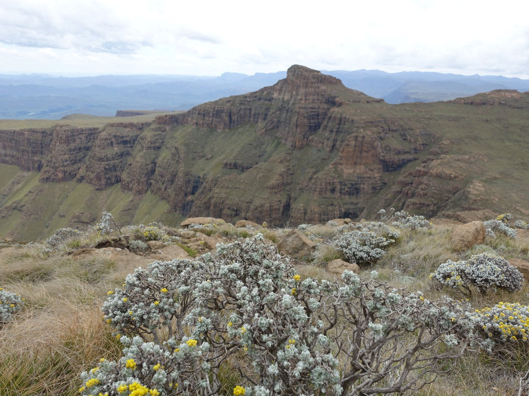 Drakensberg Adventures景点图片
