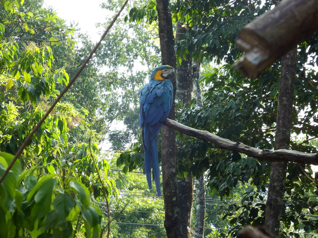 Parque Machia-Villa Tunari必去景点