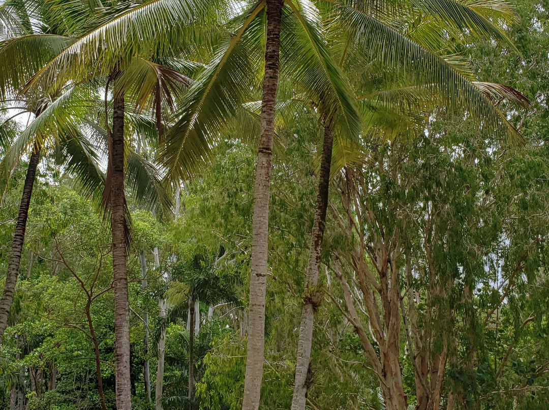 克瓦拉海滩度假酒店及Spa主图