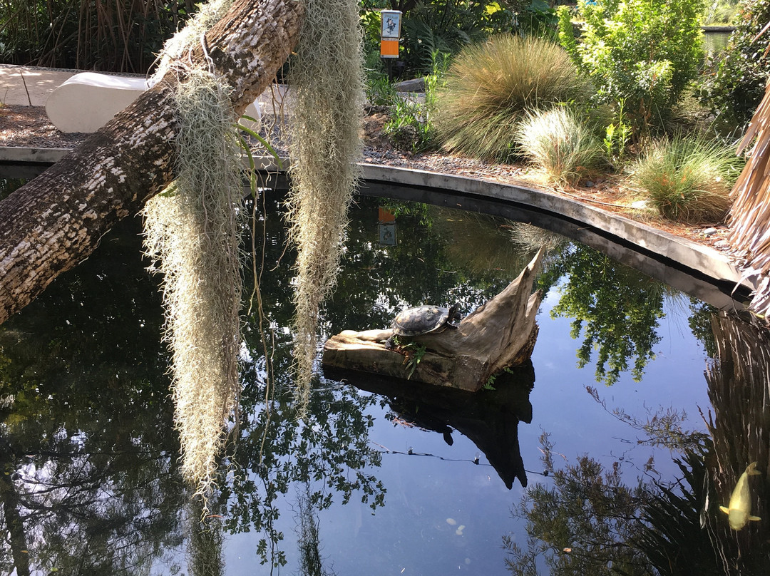 Miami Beach Botanical Garden景点图片