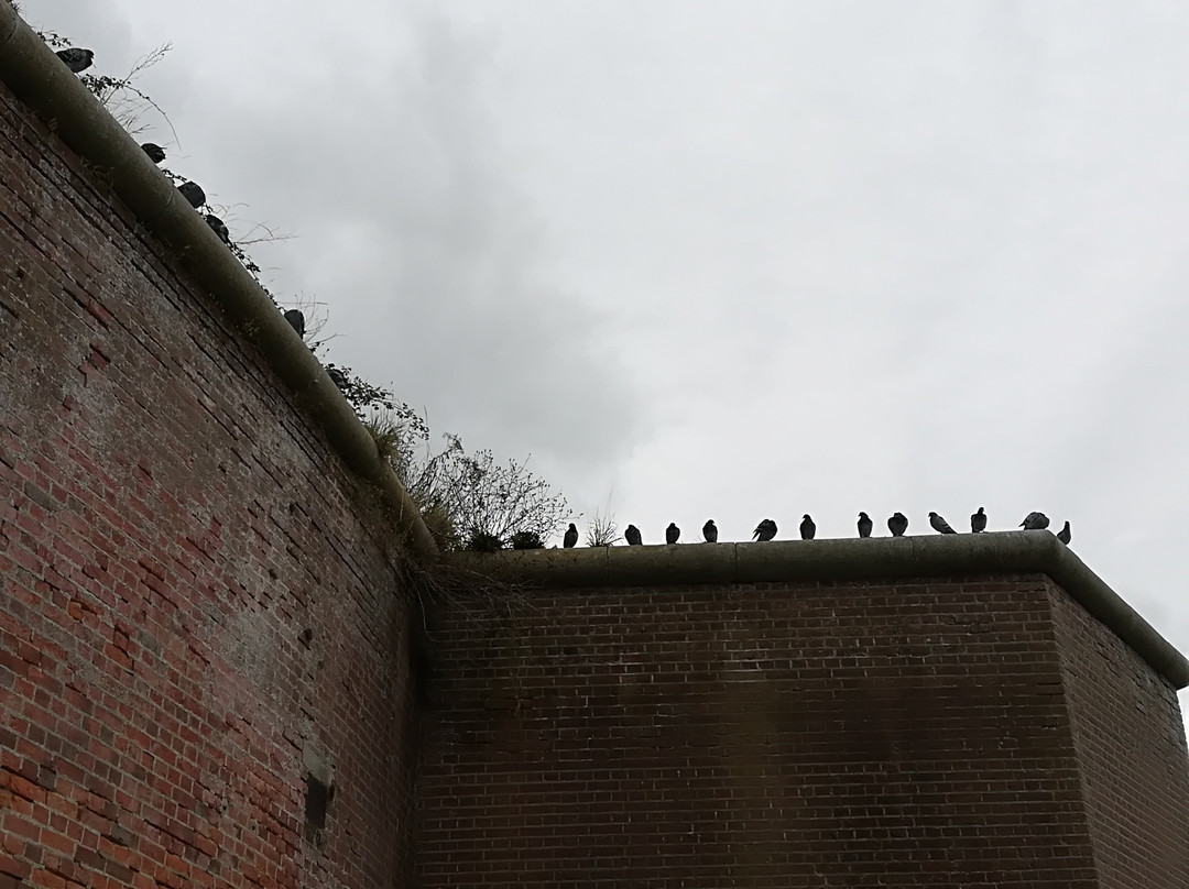 Fort Brockhurst景点图片