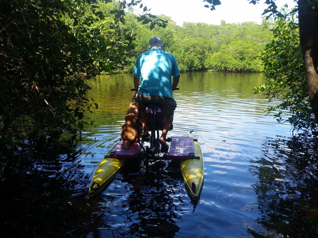 Florida HydroBike-Naples Park必去景点