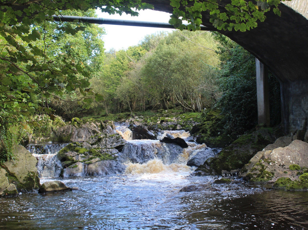 Swan Park-Buncrana必去景点
