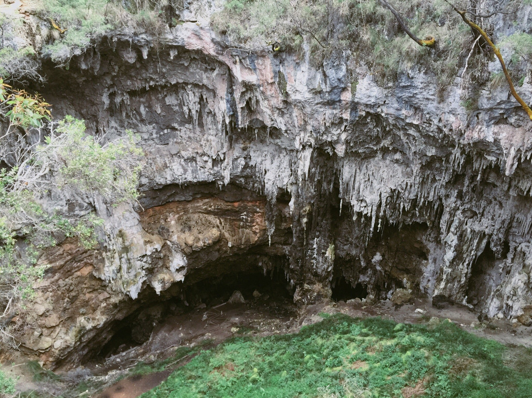 Margaret River Nature Tours-玛格丽特河必去景点