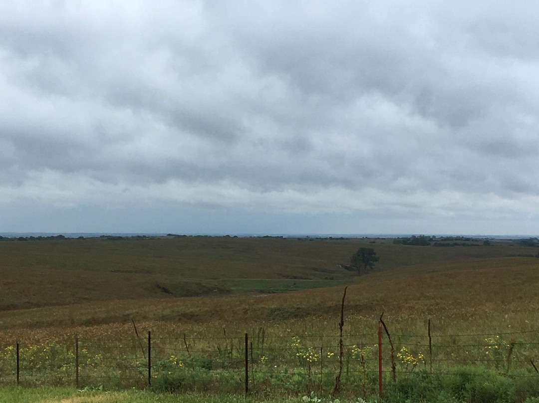 Willa Cather Memorial Prairie-Red Cloud必去景点