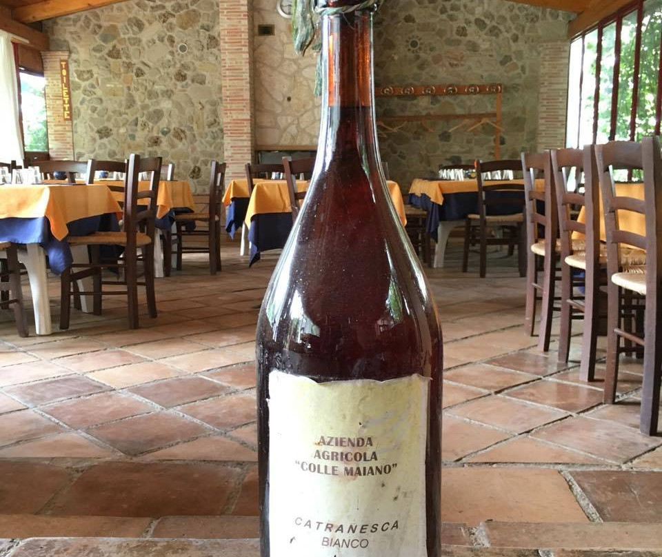 Agriturismo Colle Maiano