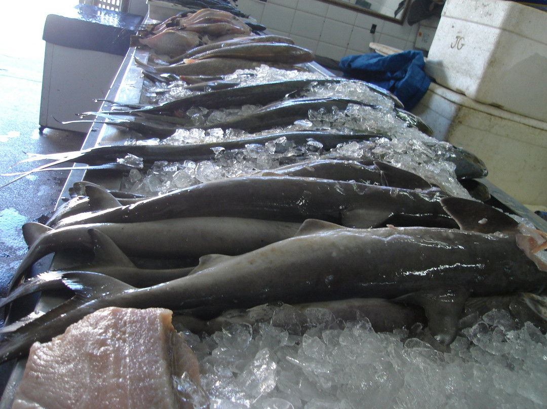 Mercado do Peixe景点图片