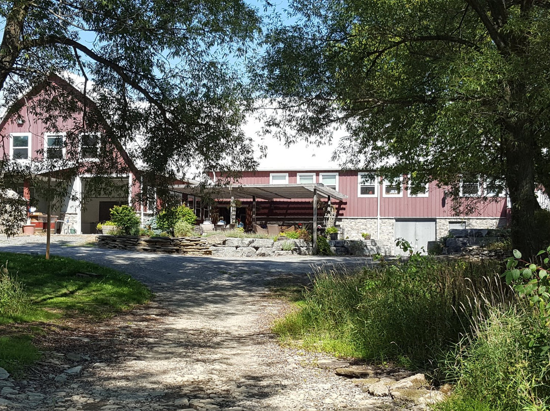 Hillier Creek Estates Winery景点图片