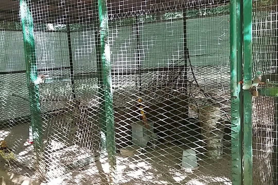 Parc Animalier-沙勒维尔梅济耶尔必去景点