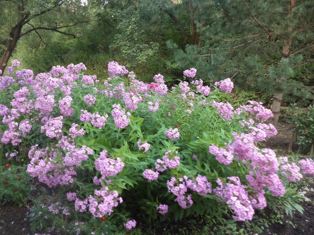 St. Spring  of Savva Storozhevsky景点图片