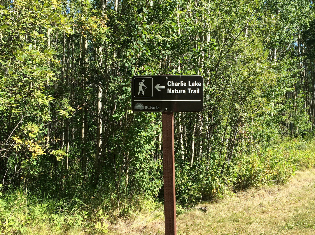 Charlie Lake Provincial Park-Charlie Lake必去景点