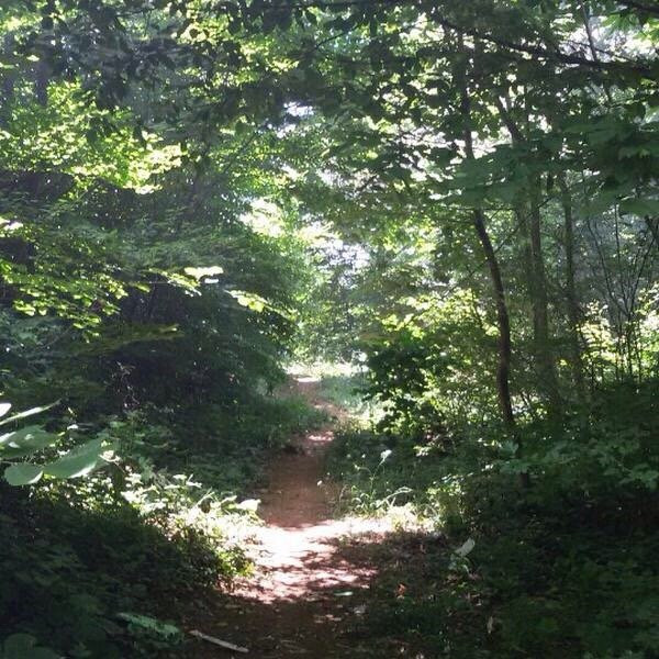 Kaymakdonduran Mesire Ormani-伊斯坦布尔必去景点