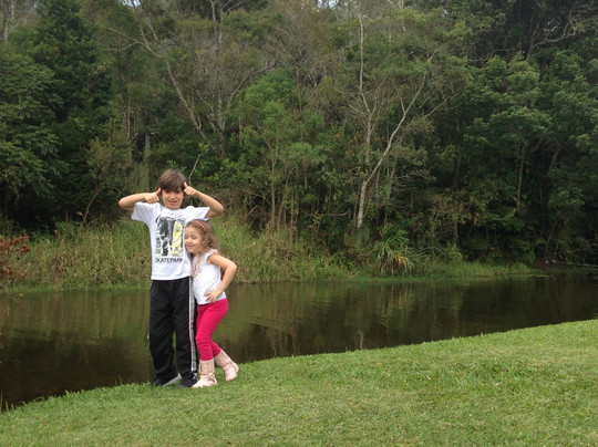 Borboletario de Osasco-Osasco必去景点