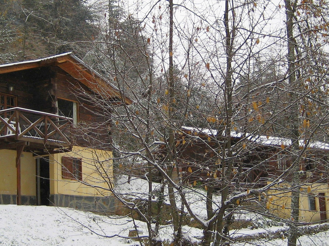 Cabanas Ruca Alihuen
