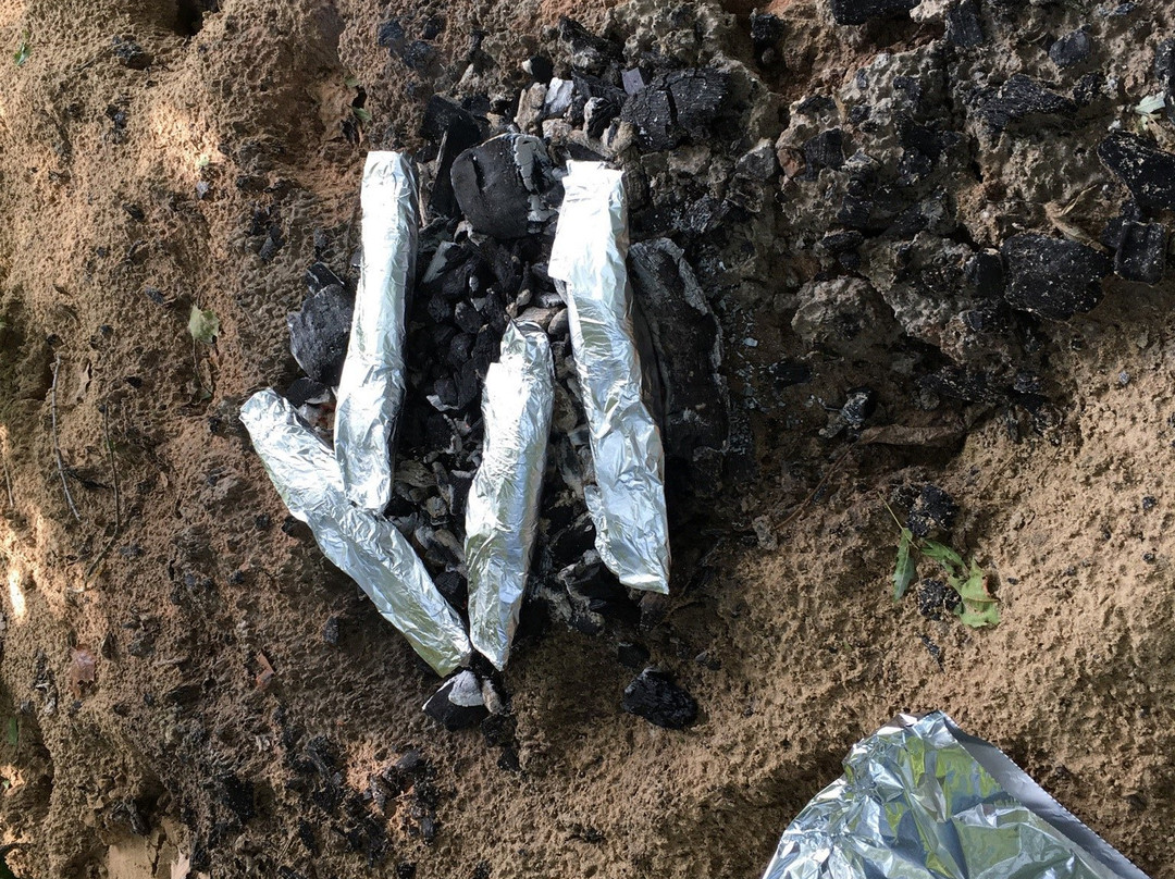 Jenkins Fishing Service & Motel主图