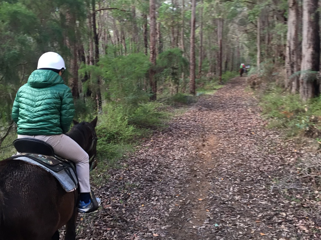 Cowboy Up Trail Rides-彭伯顿必去景点