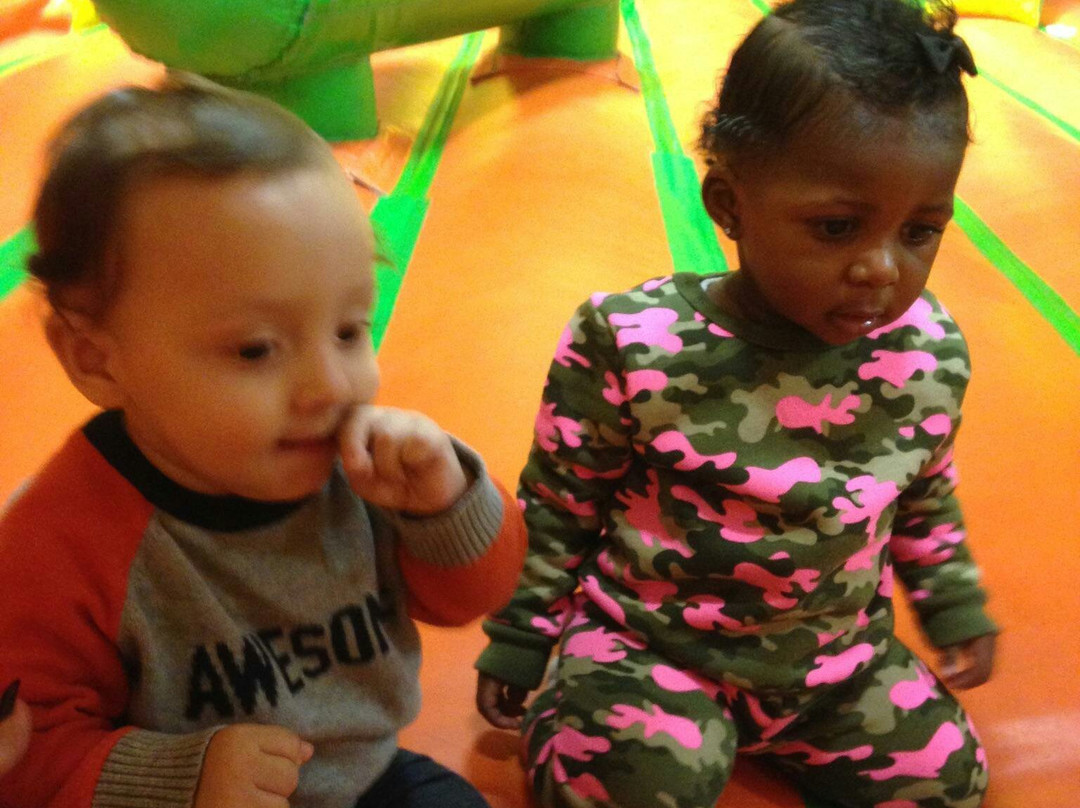 Scooter's Jungle-埃尔塞贡多必去景点