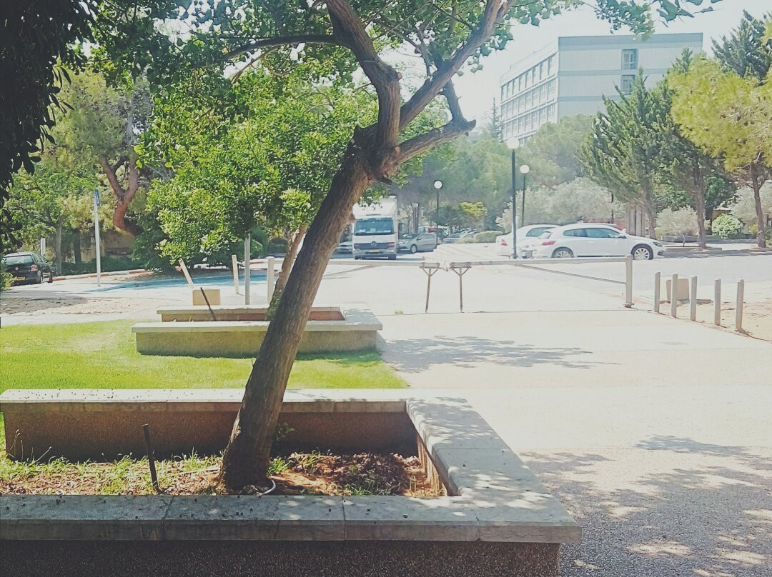 Technion Israel Institute of Technology-Haifa必去景点