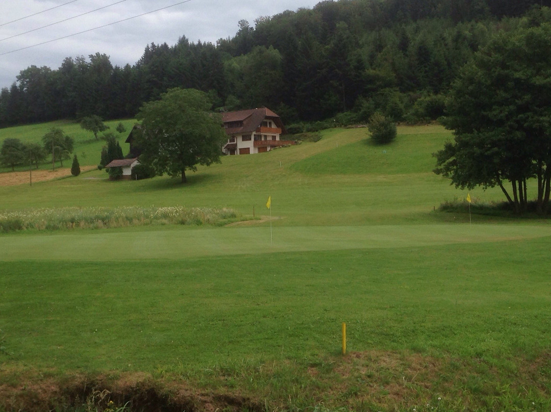 Golf Course Ortenau景点图片