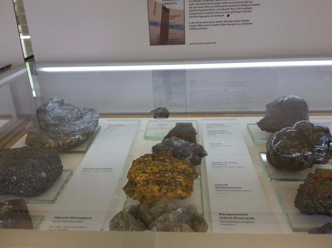 Mineralogisches Museum der Universität Bonn-波恩必去景点