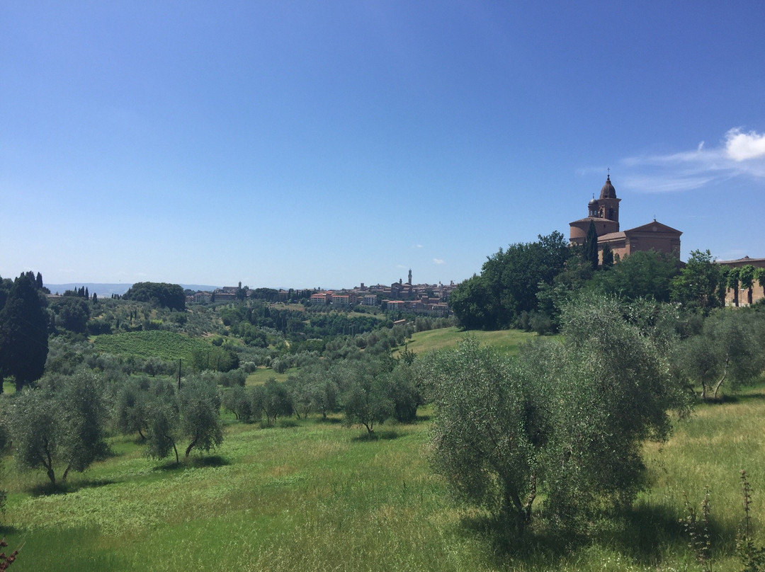 Basilica dell'Osservanza景点图片