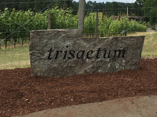 Trisaetum-纽伯格必去景点