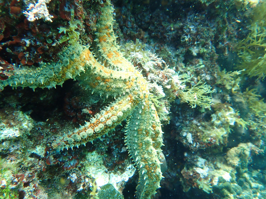 Banjole旅游攻略图片