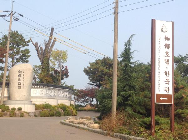 星州伽倻酒店-浴室