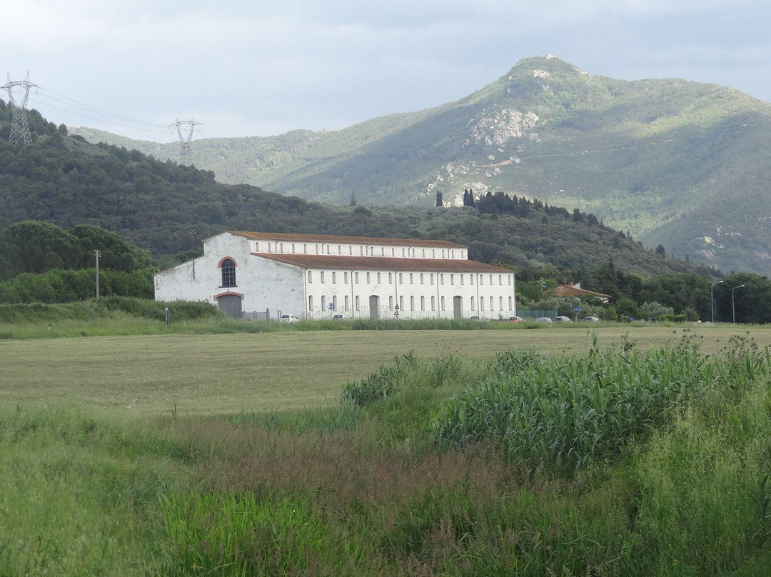 Valle delle Fonti景点图片
