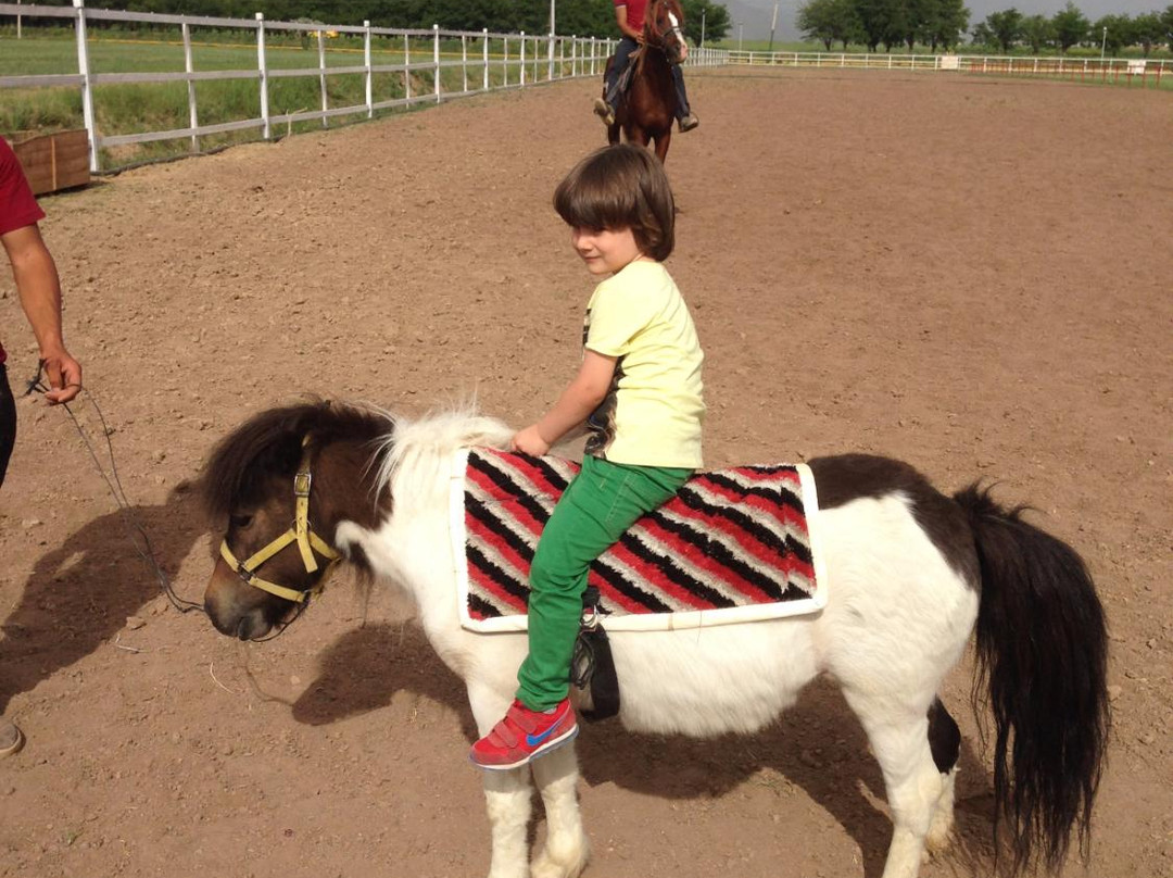 Qareh Kelisa餐馆和美食-Badasqan Aile Restorant